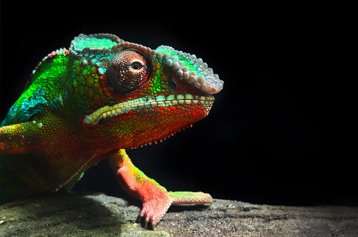 Fotógrafo cearense terá obra exposta na Grécia