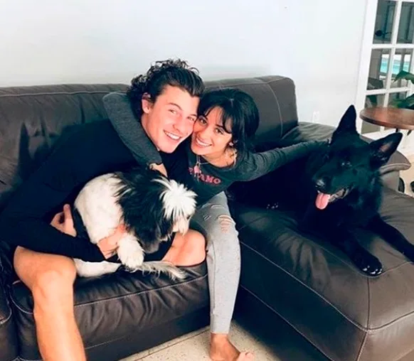 Quarentena com muito afeto