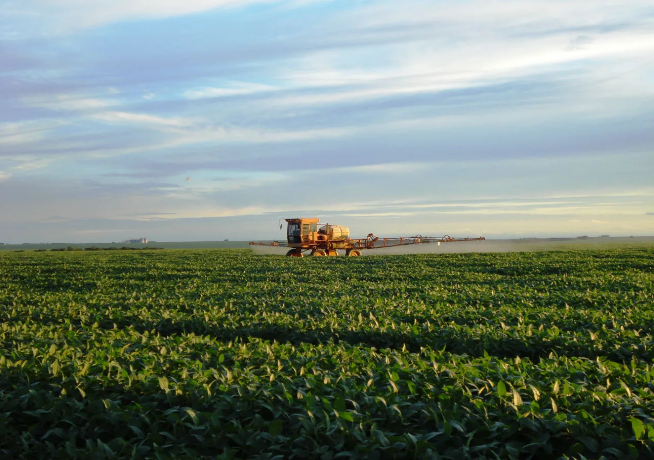 Agricultores cearenses celebram produção no interior