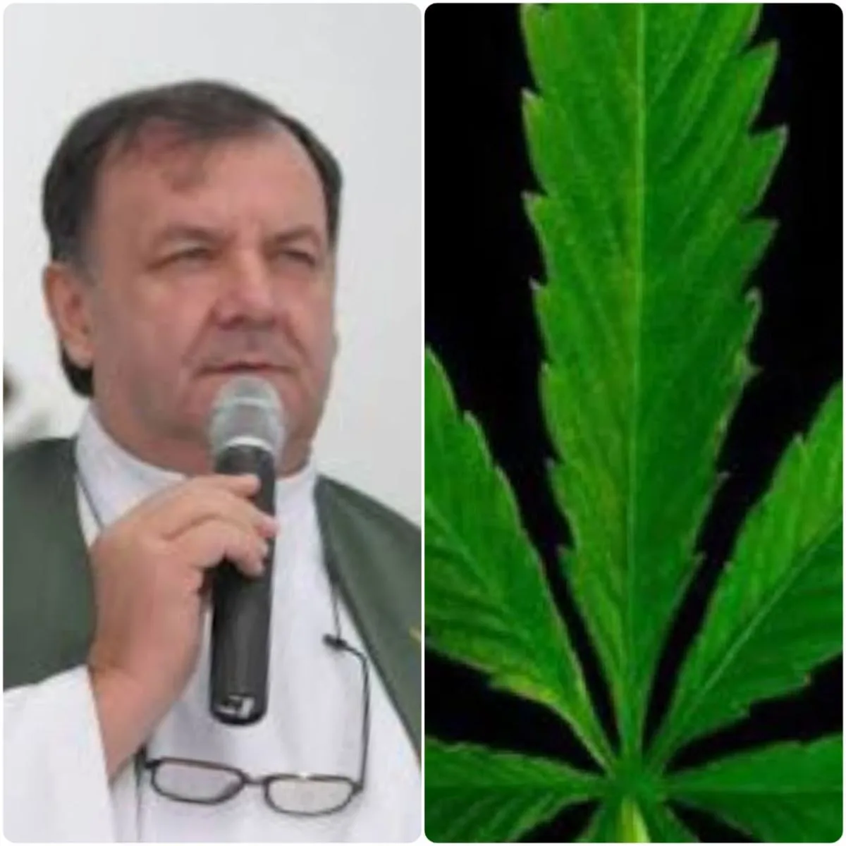 "Vamos realizar a missa da cannabis", diz Padre que define maconha como "santa erva"