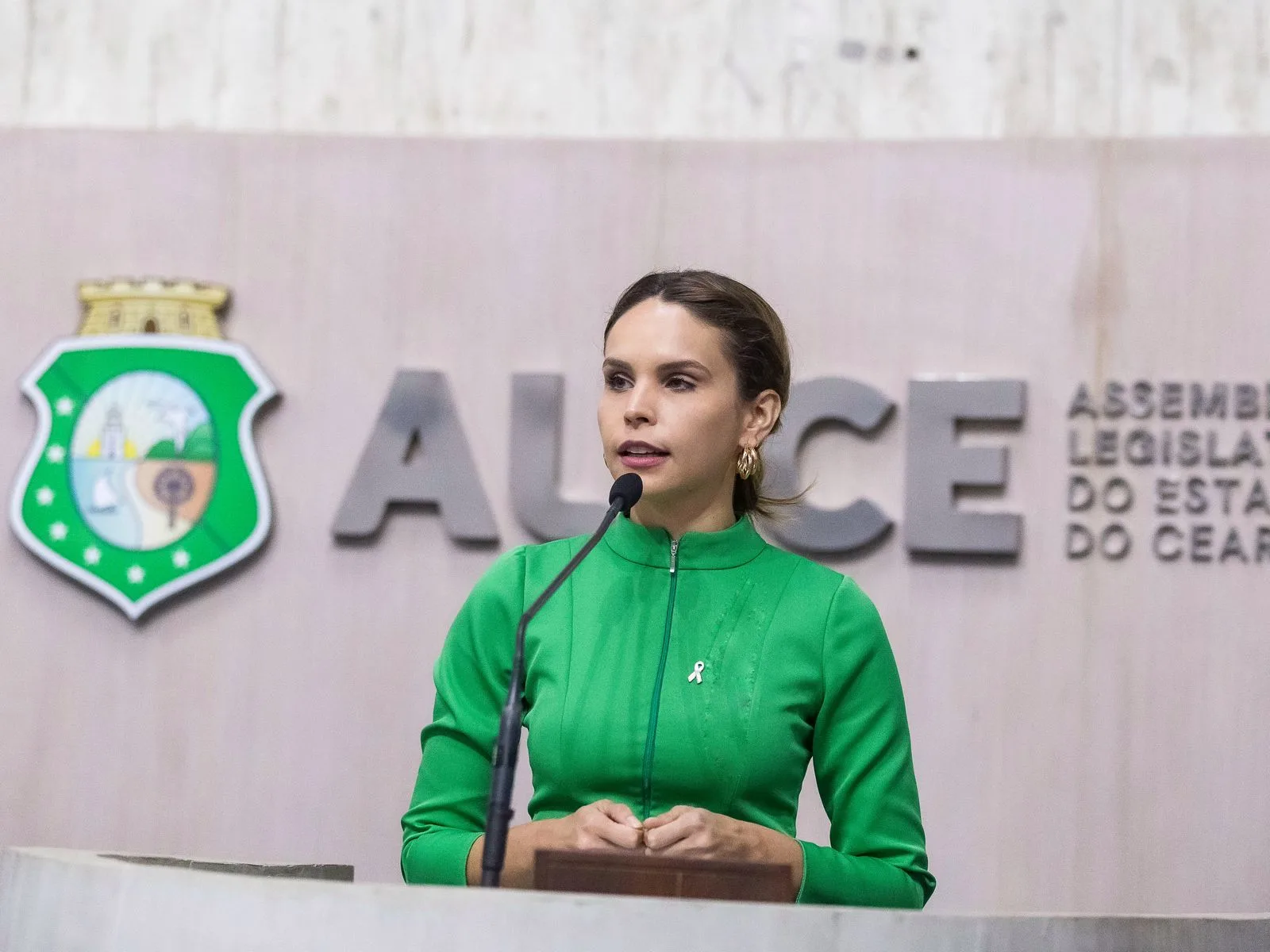 ALECE promove Audiência Pública para fortalecer políticas públicas para pessoas com Síndrome de Down