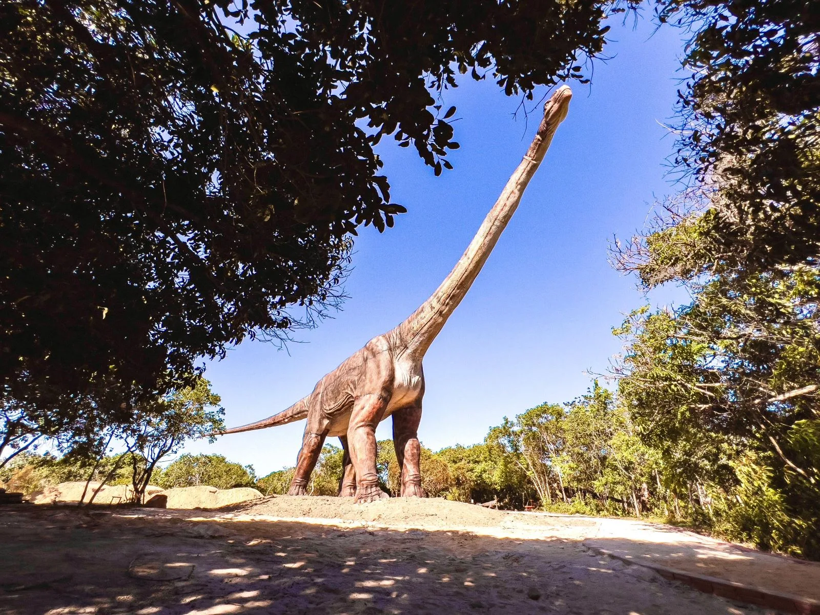 Ceará ganha novo parque de dinossauros com réplicas que chegam até 38 metros de cumprimento