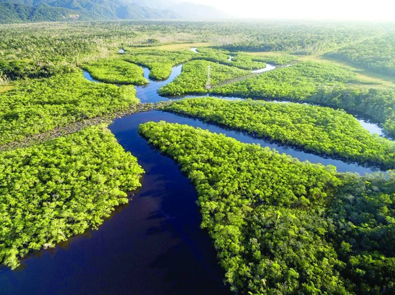 França planeja construir prisão de segurança máxima para radicais islâmicos na Amazônia