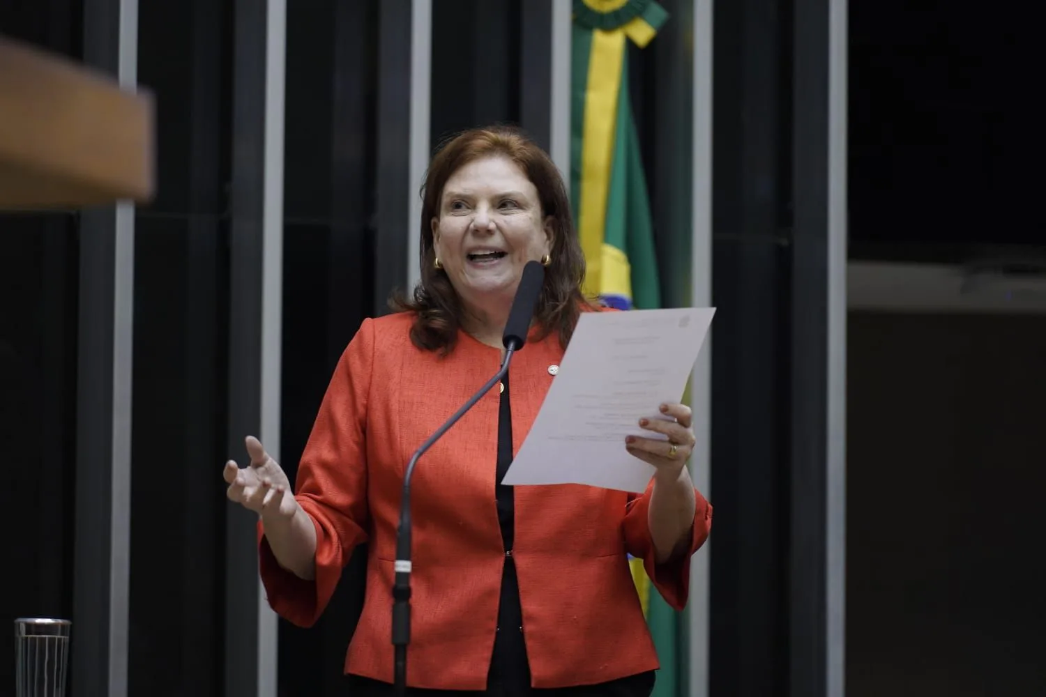 Fernanda Pessoa: tradição, liderança e compromisso com o desenvolvimento do Ceará