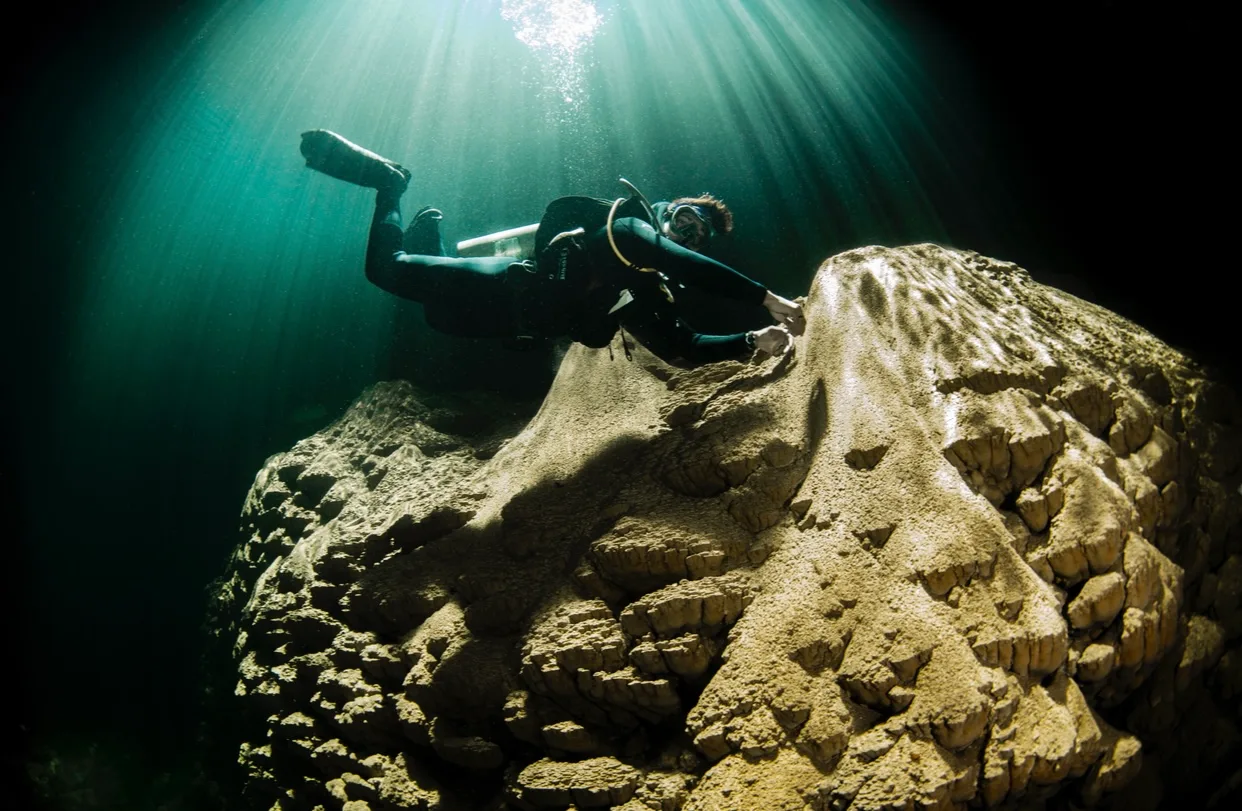 Ruver Bandeira celebra vitória no Thematic Contest 35 Awards: Diving & Freediving 2025