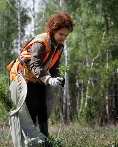 Recursos naturais: a urgência da preservação