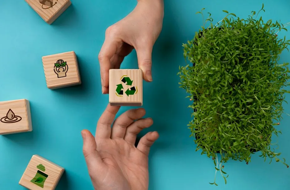 Iniciativas sustentáveis impactam no futuro do meio ambiente