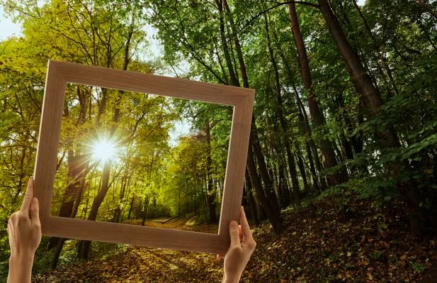 Arte e sustentabilidade: a união de forças em prol da natureza e do futuro das gerações
