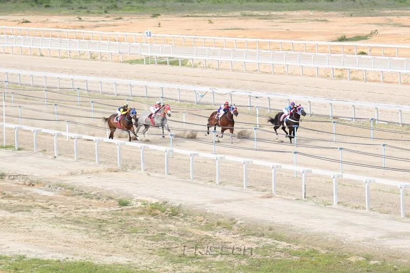 III Gp do Jockey Club