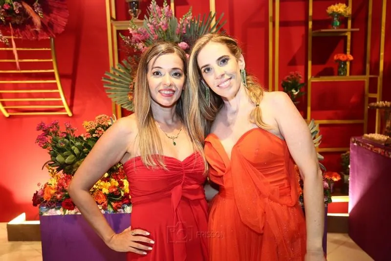 15 Anos de Marina Holanda