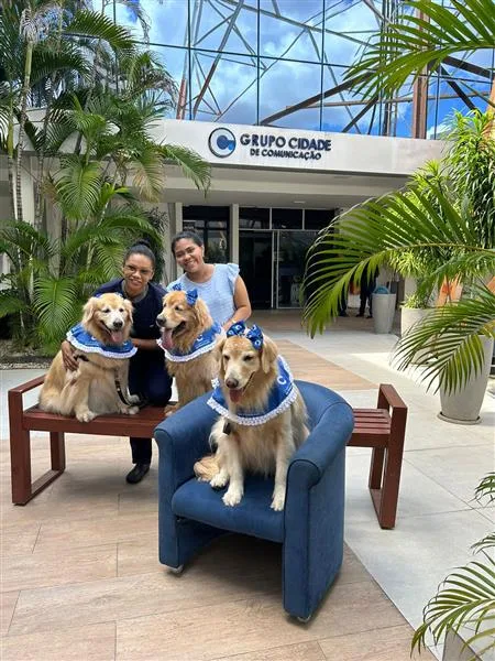 PET TERAPIA GRUPO CIDADE