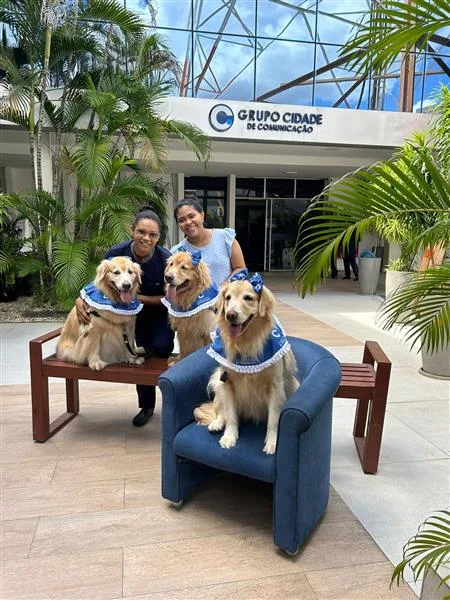 PET TERAPIA GRUPO CIDADE