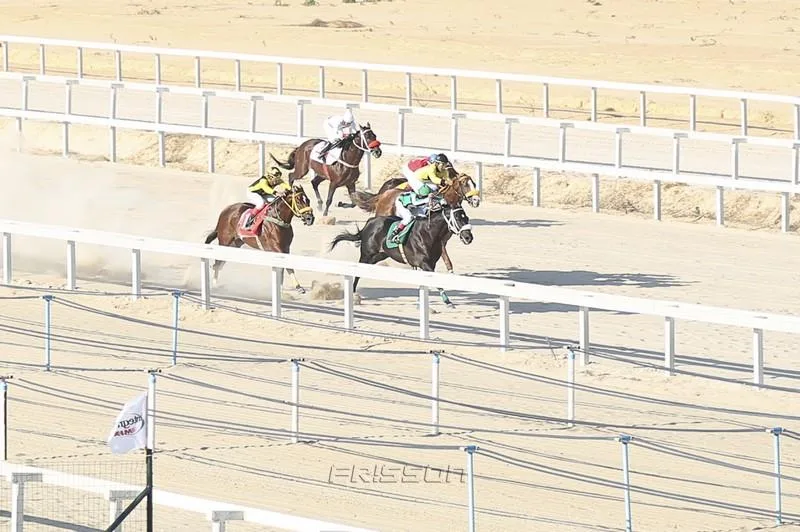 GP Haras Marinheiro
