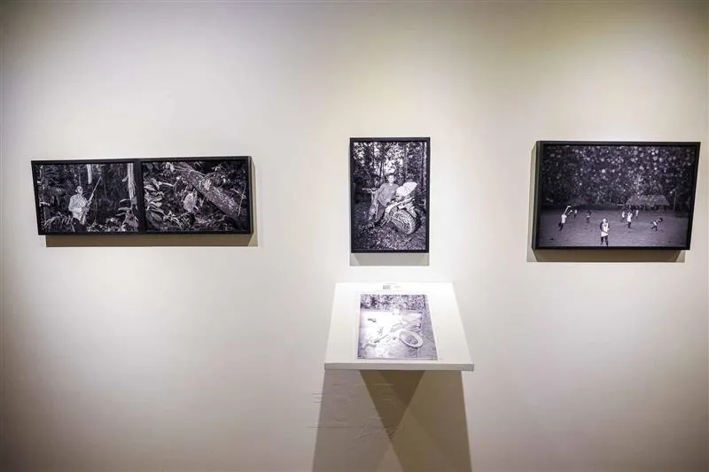 Exposição Terra Vermelha Tommaso Protti