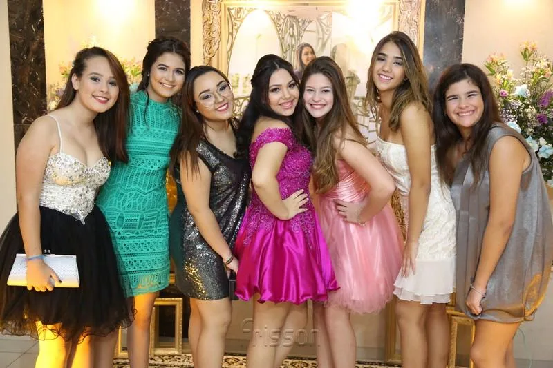 15 Anos de Larissa Braga