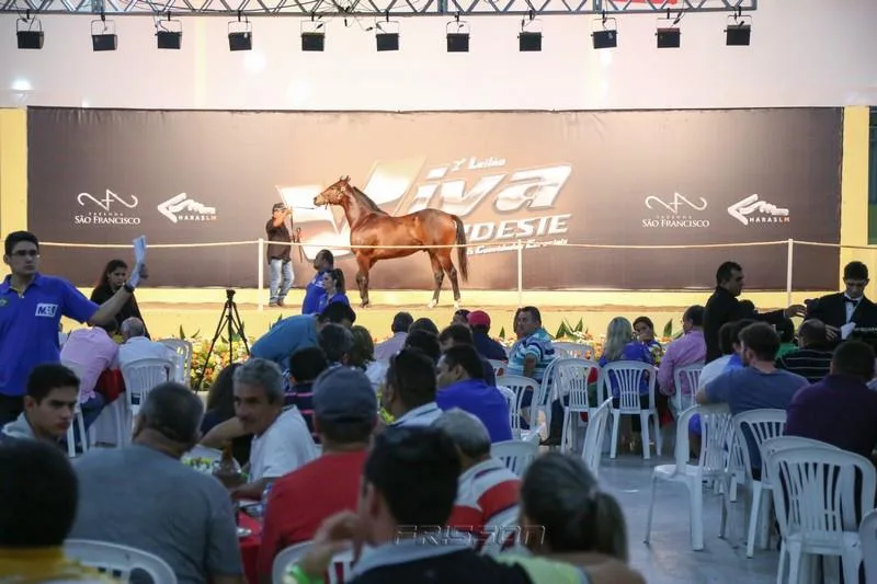 Leilão Viva Nordeste