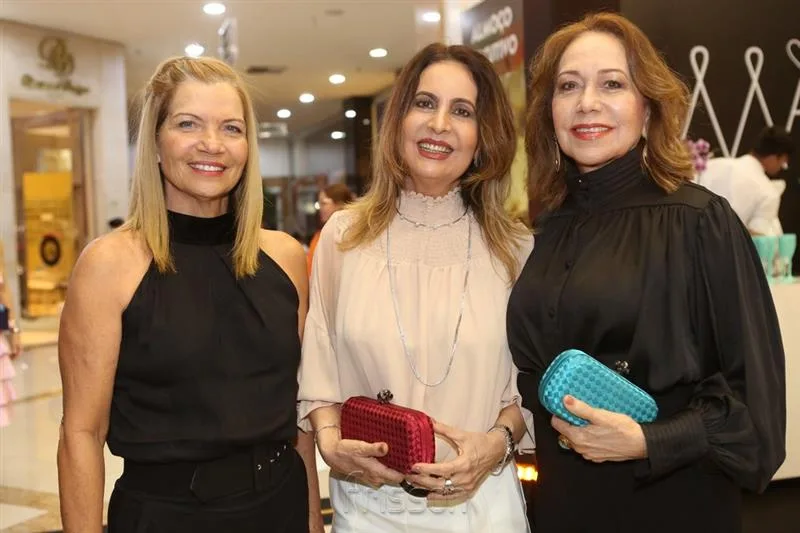 Ana Pinto, Ana Lucia Montenegro e Ana Alcantara