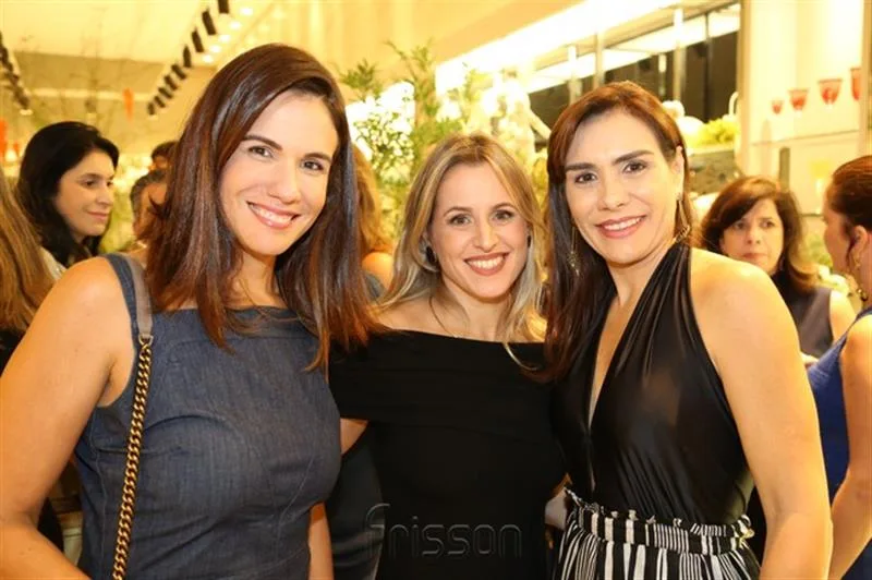 Ana Virginia Martins, Germana Castro e Ane Alcântara
