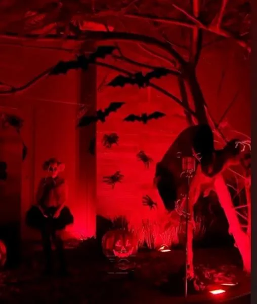 Halloween Sophia Romcy e Franklin Oliveira