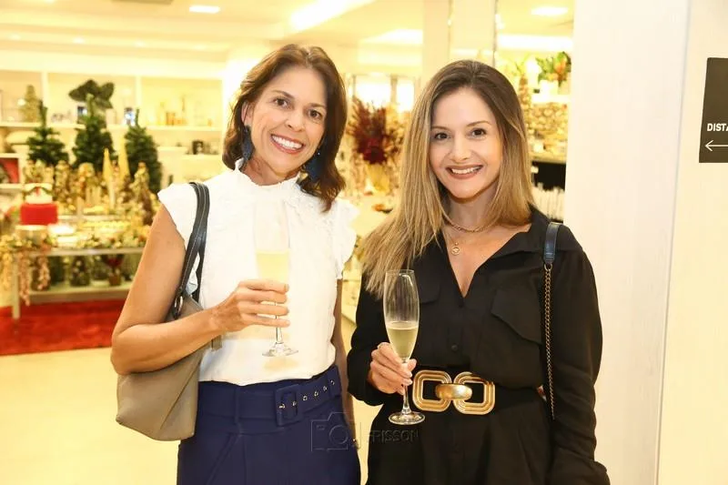 Cibele Parreiras e Clarine Aguiar