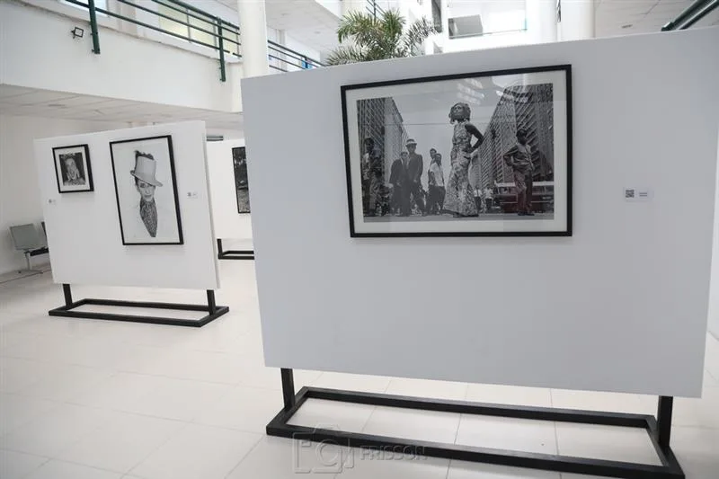 Abertura do Mês da Mulher do TJ CE