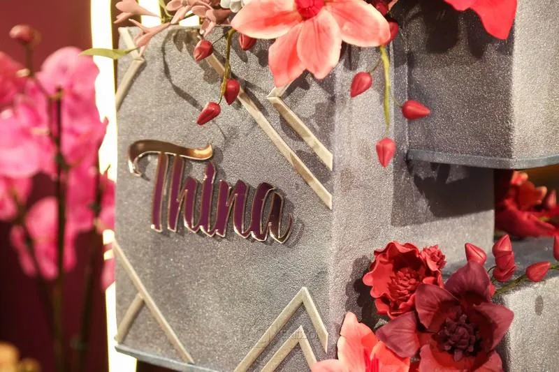 15 Anos de Thina Pimenta