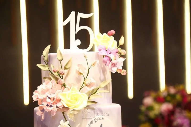 15 Anos de Alice Bastos
