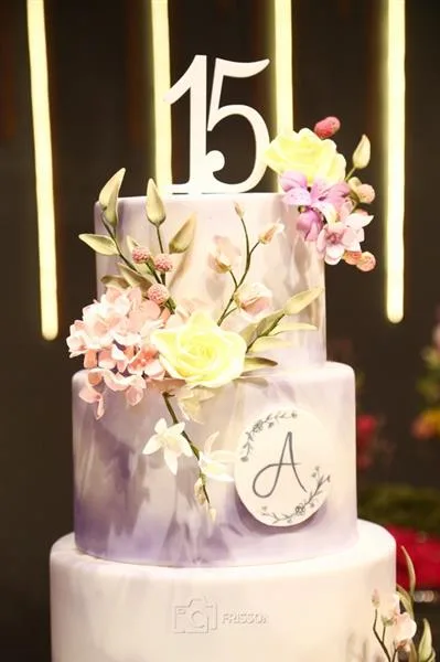 15 Anos de Alice Bastos