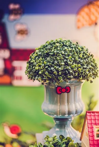 Decoração