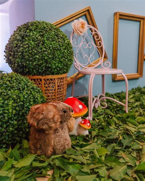 Decoração
