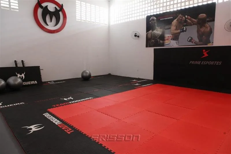 Team Nogueira