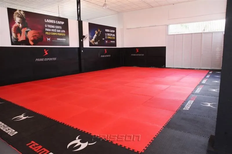 Team Nogueira