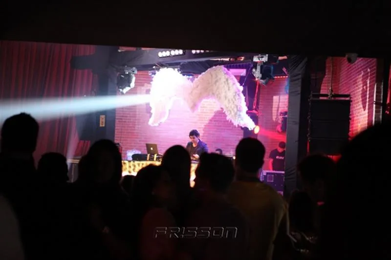 Pink Elephant