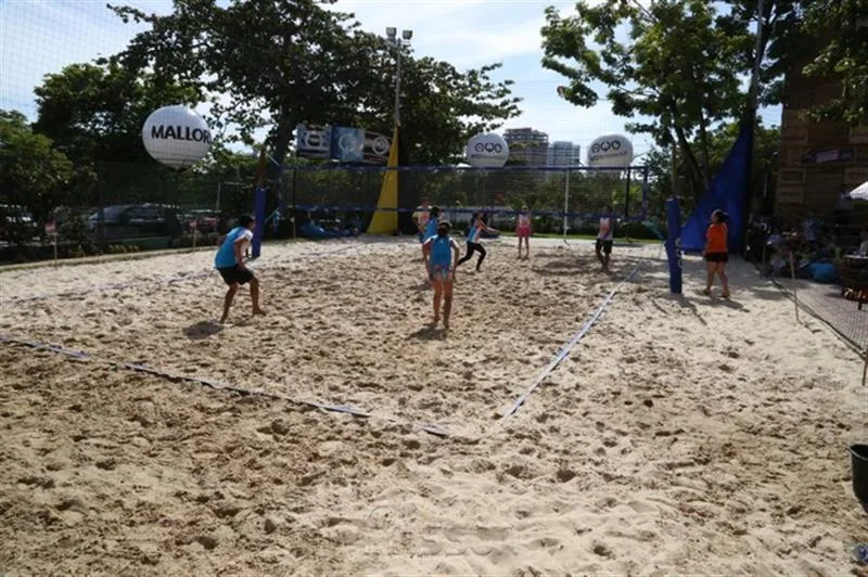 Festival de Verão AYO
