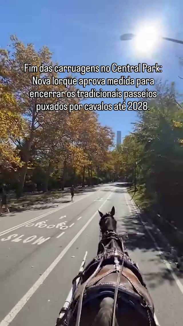 A Câmara Municipal de Nova York aprovou a chamada Romanch’s Law, medida que prevê o encerramento dos passeios turísticos em carruagens puxadas por cavalos no Central Park até 1º de